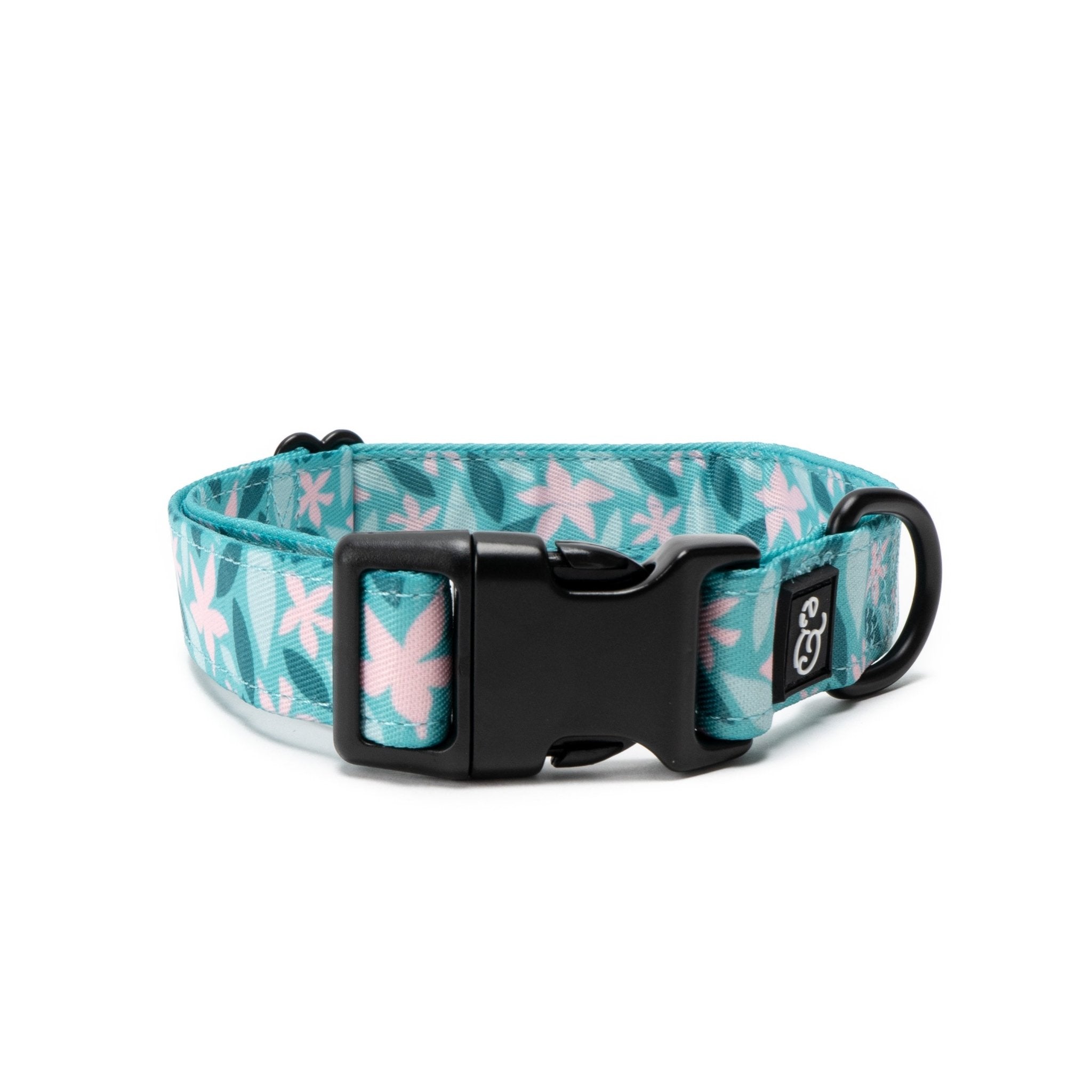 Lucy & Co. Dilly Lily Adjustable Dog Collar with Buckle - Blue & Pink Stripes for Small to Medium Dogs | Perfect for Daily Walks, Training & Fashion Accessories