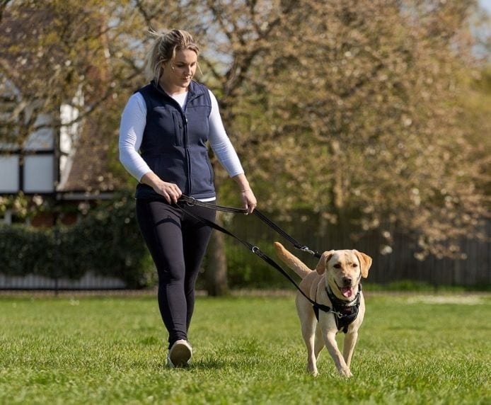 Halti No Pull Dog Harness - Black | Adjustable & Comfortable Pet Training Harness for Walking, Running & Outdoor Adventures