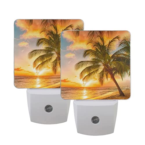 Palm Tree