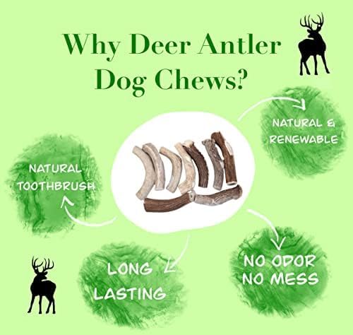 Premium Deer Antler Dog Chews (Large 3 Pack, 6-7 Inches) - Natural, Long-Lasting Dog Chew Toy for Medium to Large Breeds - Ethically-Sourced & Irresistible - Perfect for Teething, Dental Health & Aggressive Chewers