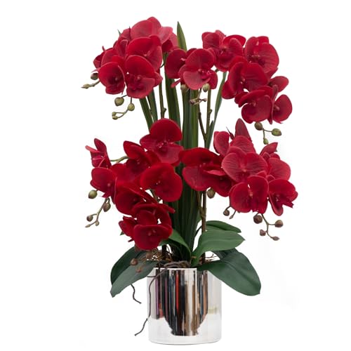 Red- Silver (12cm)