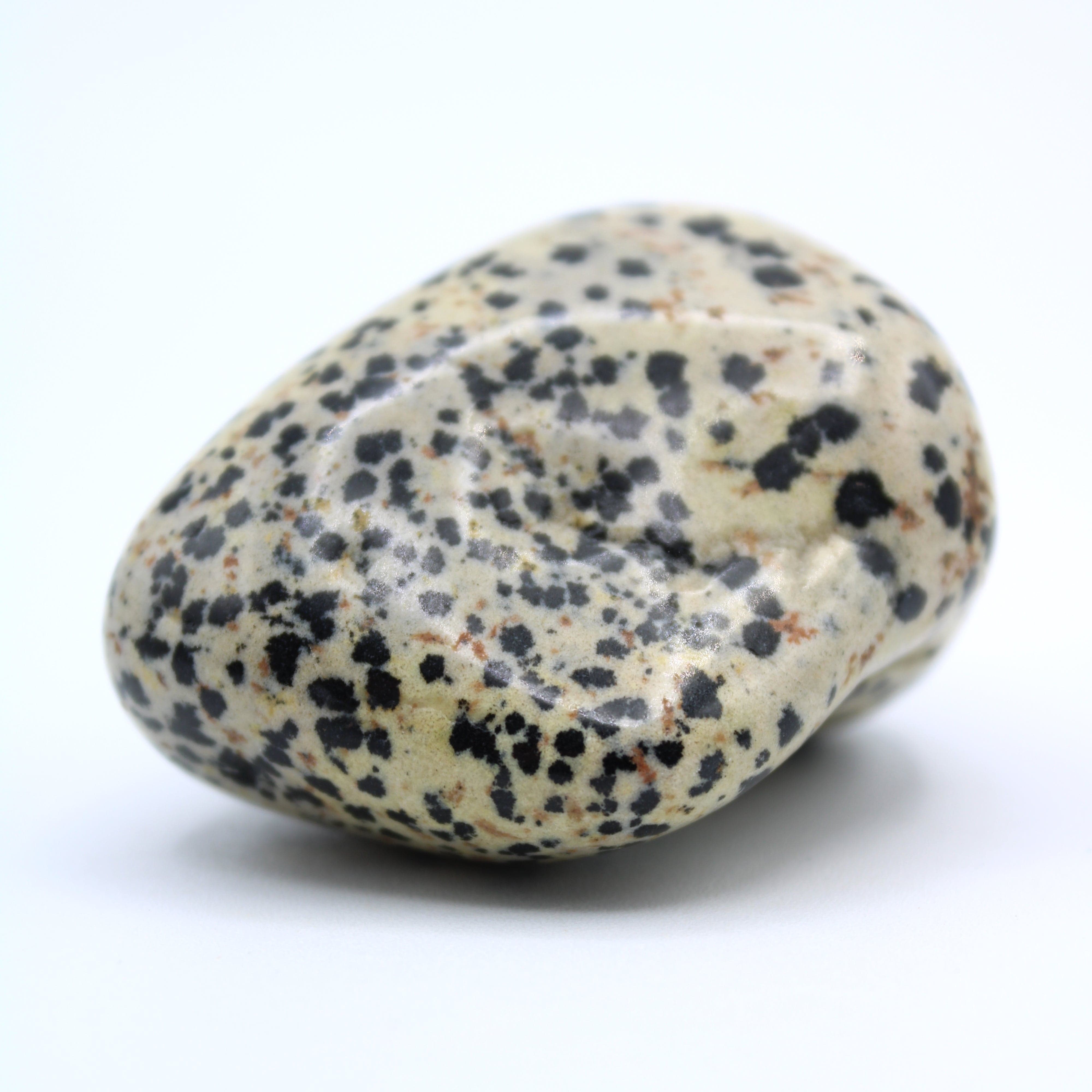 Natural Dalmatian Jasper Free Form Stone - Healing Crystal for Meditation, Home Decor & Spiritual Gifts | Perfect for Yoga, Reiki & Positive Energy