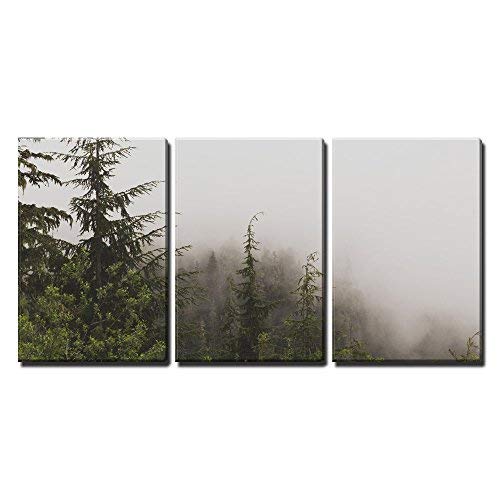 wall26 - 3 Piece Canvas Wall Art Set - Pine Tree Forest Landscape on Foggy Day - Modern Framed Home Decor Ready to Hang (16