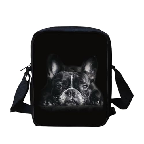 Black French Bulldog