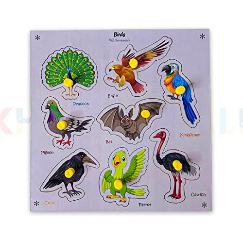 Birds