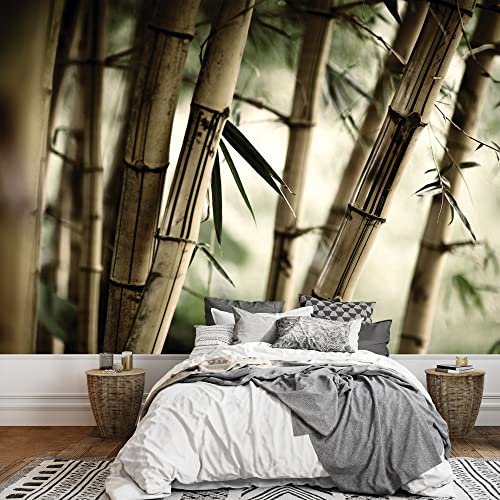 Bamboo Forest