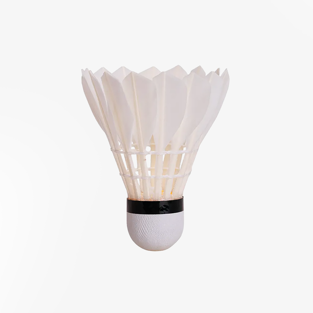 Premium Chaopai Yellow Badminton Shuttlecocks - Professional Grade Feather Birdies for Training & Competition - Perfect for Indoor/Outdoor Play, Tournaments & Backyard Fun
