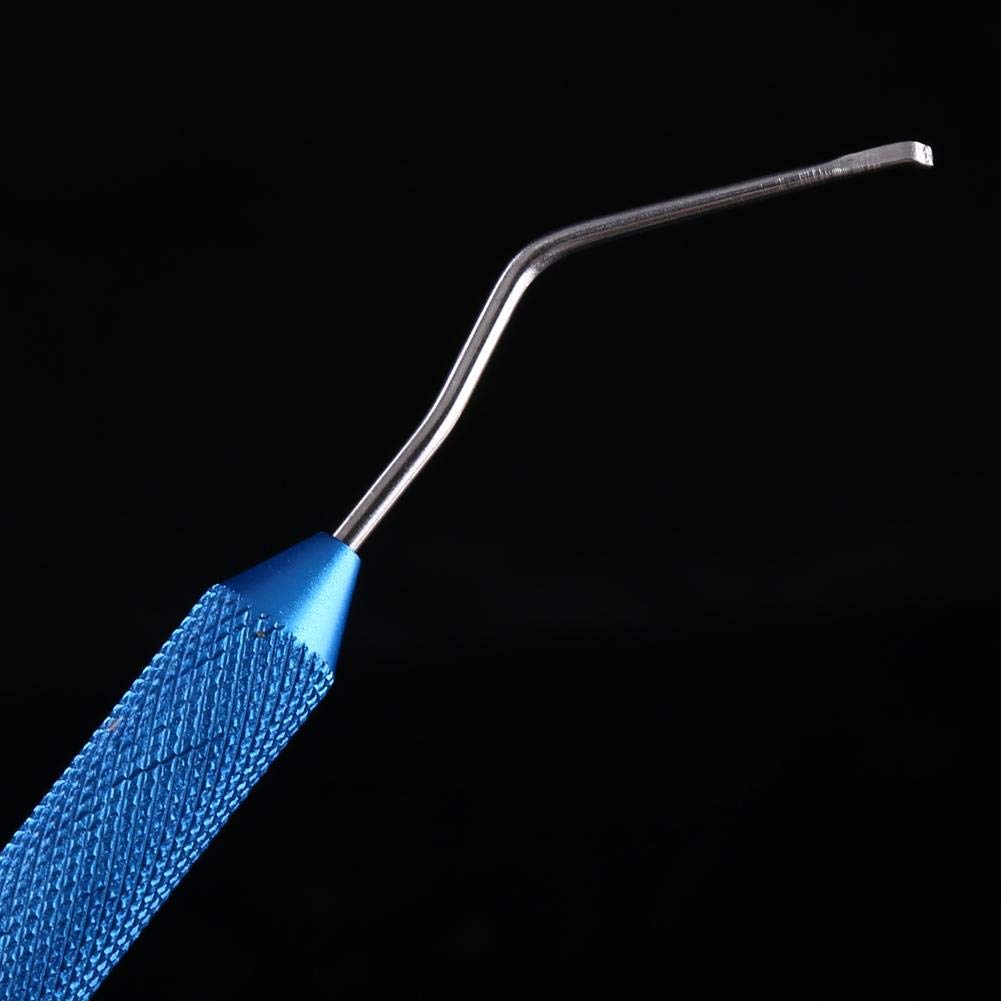 Stainless Steel Beekeeping Grafting Tool - Queen Bee Larva Transfer Needle with Non-Slip Grip for Honey Bee Rearing | Professional Apiary Equipment for Beekeepers & Queen Bee Breeding