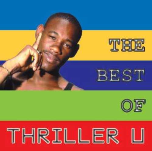 Best Thriller Books - Top Suspense & Mystery Novels for Adults - Perfect for Reading at Night or During Travel