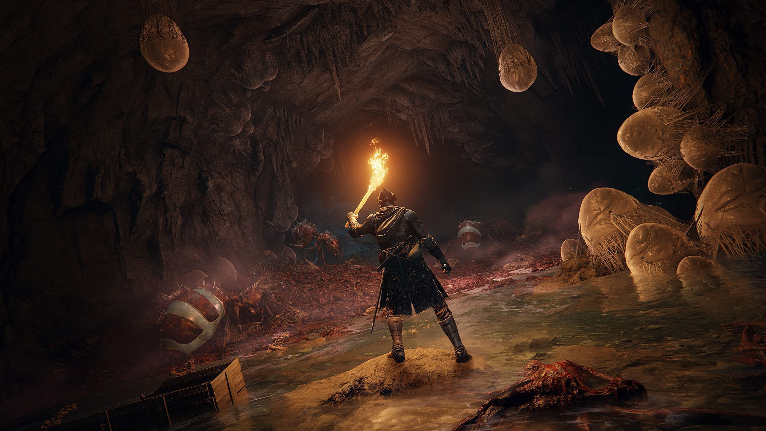 Elden Ring Launch Edition for PS5 - Action RPG Game with Open World Exploration, Epic Boss Battles & Customizable Characters | Perfect for Hardcore Gamers & Fantasy Adventure Lovers