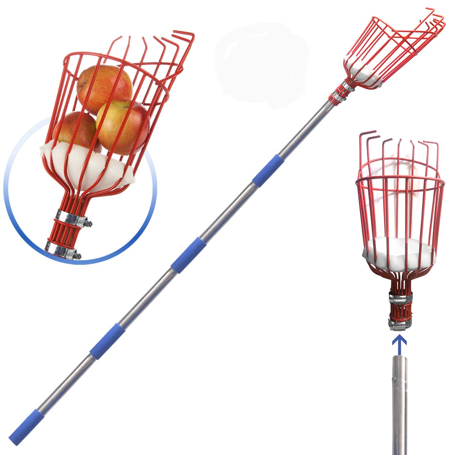 5.5ft Lightweight Stainless Steel Fruit Picker with Extension Pole - Perfect for Harvesting Apples, Oranges & Tree Fruits - Ideal for Home Orchards, Backyard Gardening & Farm Use