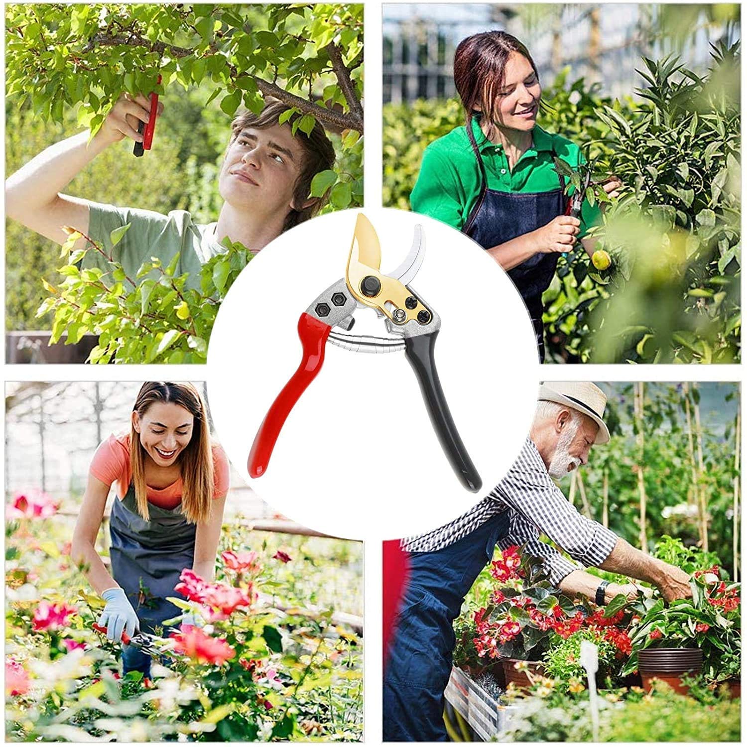 Professional Bypass Pruning Shears - Stainless Steel Rust-Proof Garden Shears for Trees, Shrubs & Plants | Ergonomic Hand Pruners for Precise Trimming | Perfect for Gardening, Landscaping & Outdoor Use