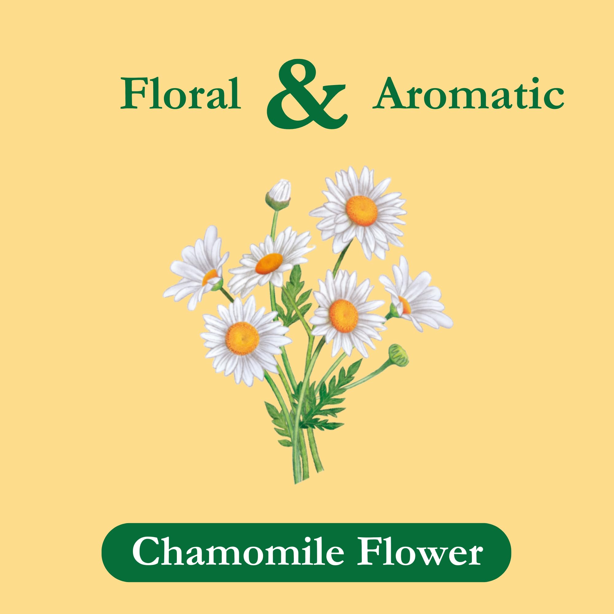 Organic Chamomile Herbal Tea Bags - Caffeine Free, Individually Wrapped (24 Bags/Box, 6-Pack) - Perfect for Relaxation, Stress Relief & Bedtime