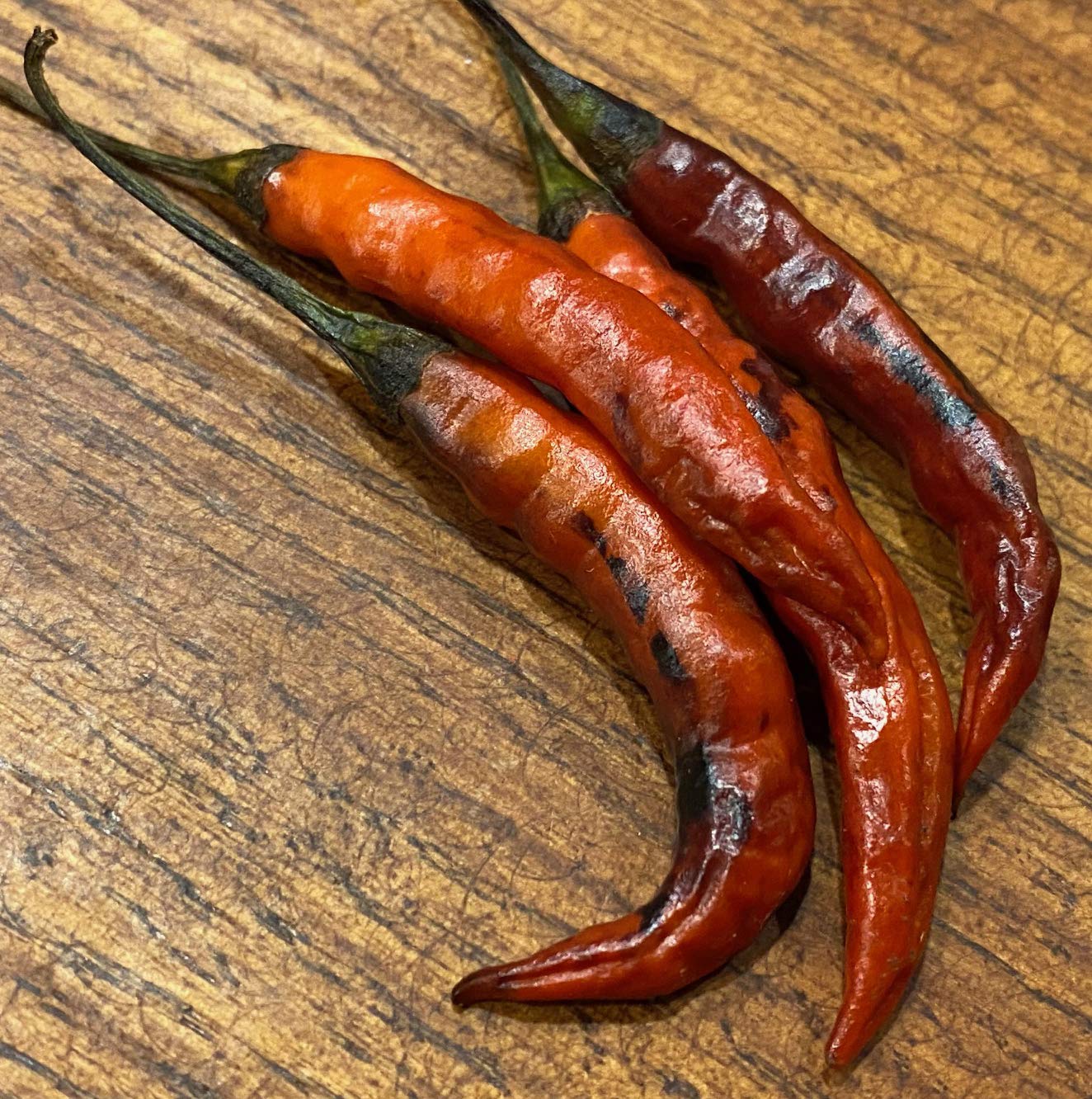 Premium Purple Chile De Arbol Tree Chili & Birds Beak Pepper Seeds for Planting - Hot & Spicy Mexican Peppers - Perfect for Home Garden, Cooking & Salsa Making