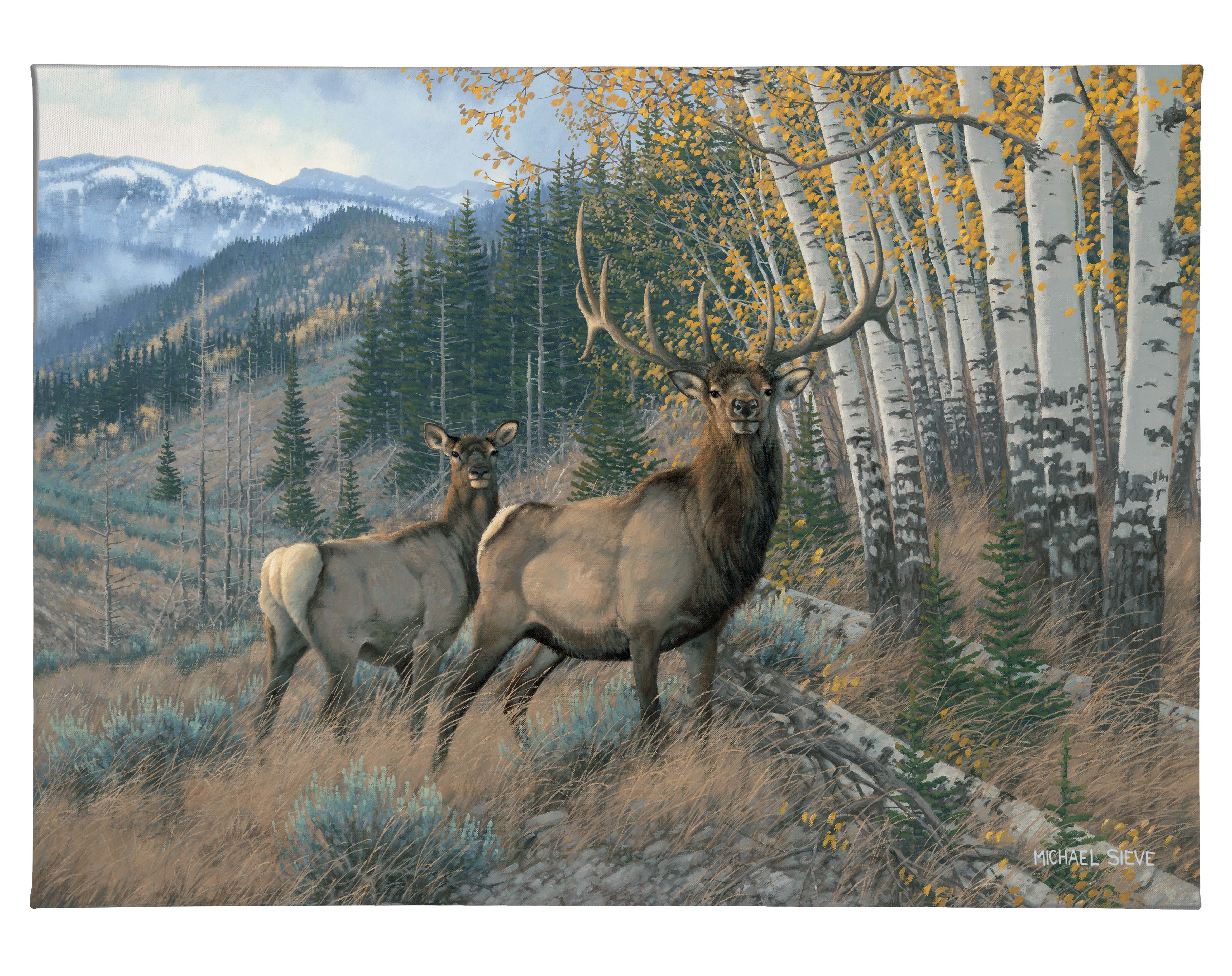 Eastern Slope Elk 13x18 Gallery Wrapped Canvas Wall Art - Perfect for Living Room, Bedroom & Office Decor