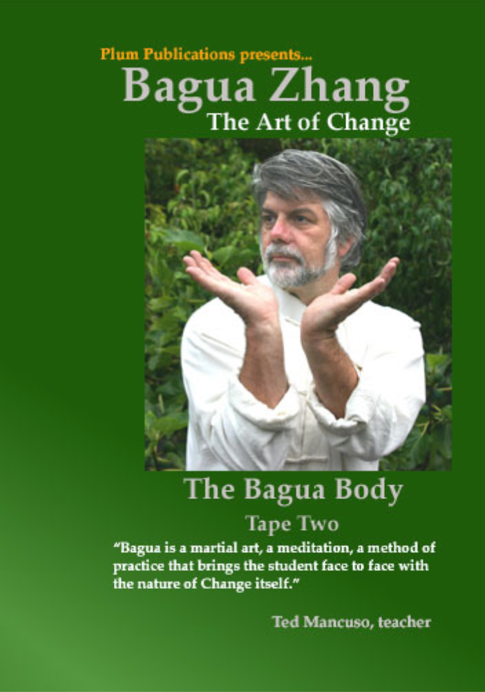 Bagua: The Art of Change DVD 2 by Ted Mancuso (Used) - Learn Ancient Chinese Martial Arts for Self-Defense & Meditation