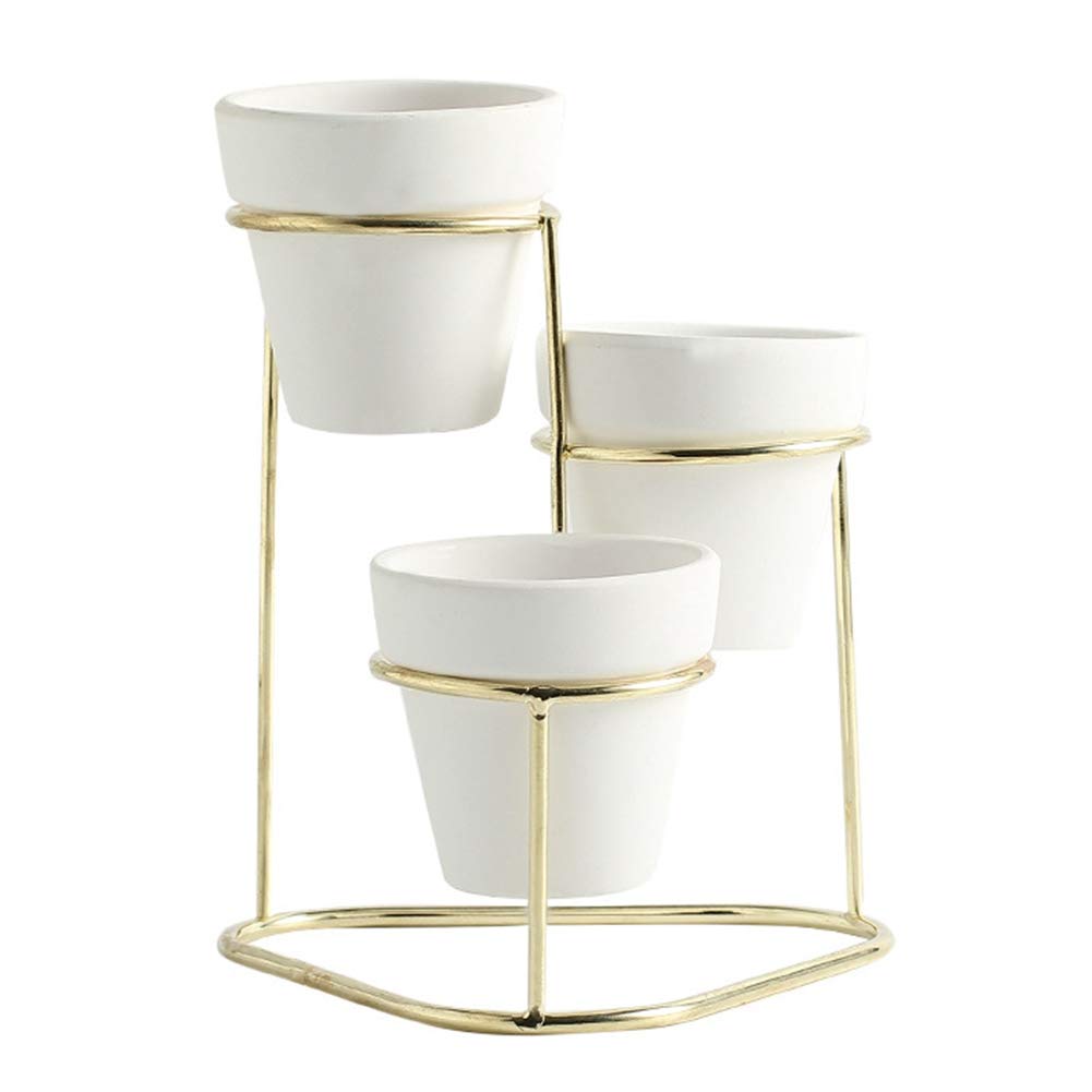 3-Tier White Metal Plant Stand with 3 Non-Porous Stoneware Succulent Pots - Indoor Flower Pot Holder for Mini Cactus, Herbs & Small Plants - Perfect for Home Decor, Office Desk & Balcony Gardening