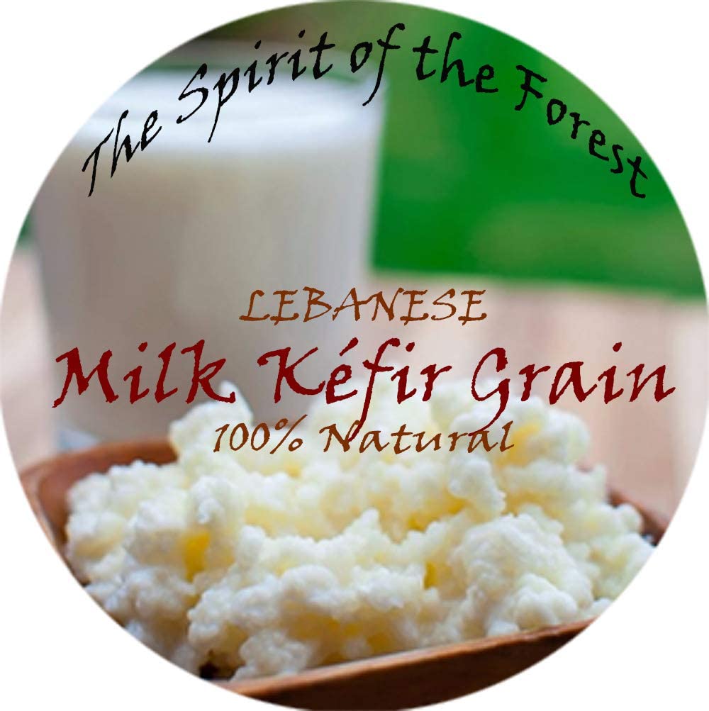 Organic Live Milk Kefir Grains - Fresh Active Probiotic Starter Culture for Homemade Yogurt & Fermented Drinks | 1 tsp & 2 tsp Starter Set | Perfect for Gut Health, Smoothies & Baking
