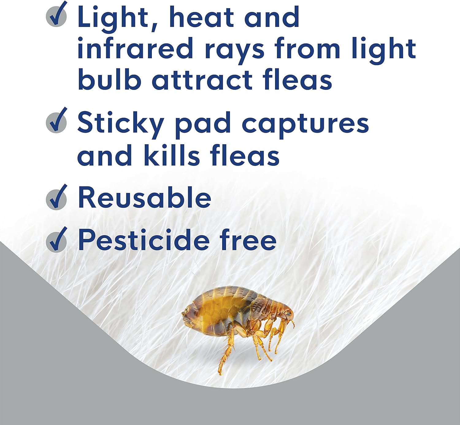 BioCare Flea Trap with Capture Pads - Effective Indoor Flea Control for Pets & Home - Perfect for Bedrooms, Living Rooms & Pet Areas