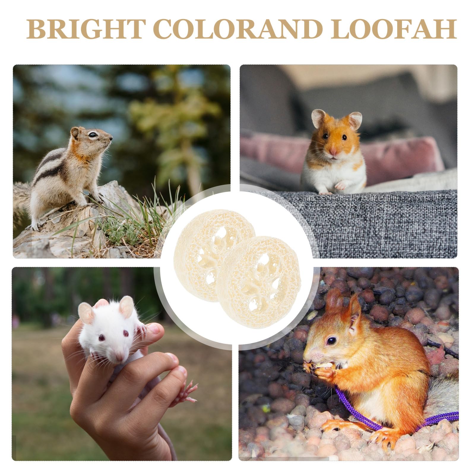Natural Loofah Chew Toys for Small Pets - Hamster, Rabbit, Chinchilla, Guinea Pig & Bird Chewing Toy - Safe Cage Shredder & Enrichment Activity for Rabbits, Parrots & Rodents (Random Color) - Perfect for Cage Play, Teeth Trimming & Stress Relief
