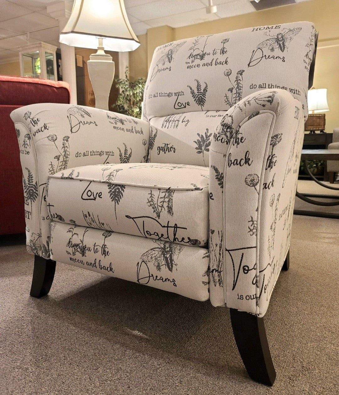 Comfortable Curved Arm Accent Recliner Chair - Modern Living Room Furniture for Relaxing & Lounging | Perfect for Home Theater, Reading Nook & Small Spaces