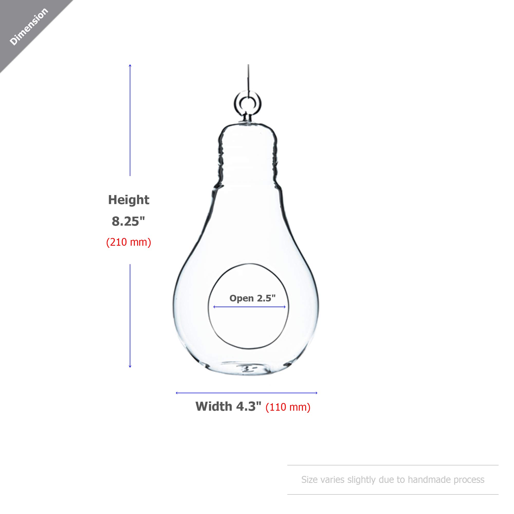 WGV 8.25