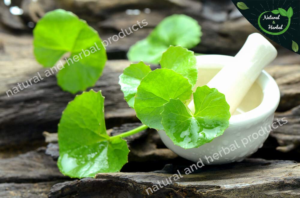 Organic Brahmi Powder (Bacopa Monnieri) - 200g | Natural Hair Growth & Skin Care Supplement | Promotes Brain Function & Immunity | For Hair Masks, Face Masks & Wellness Drinks | USDA Certified Herbal Remedy
