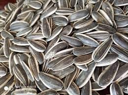 Organic Jumbo Raw Sunflower Seeds - High in Fiber & Protein | Healthy Snack for Weight Loss, Keto & Vegan Diets | Perfect for Salads, Baking & On-the-Go Nutrition