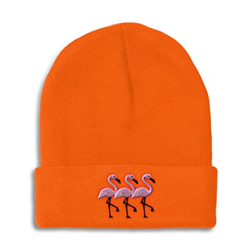 Orange Design Only