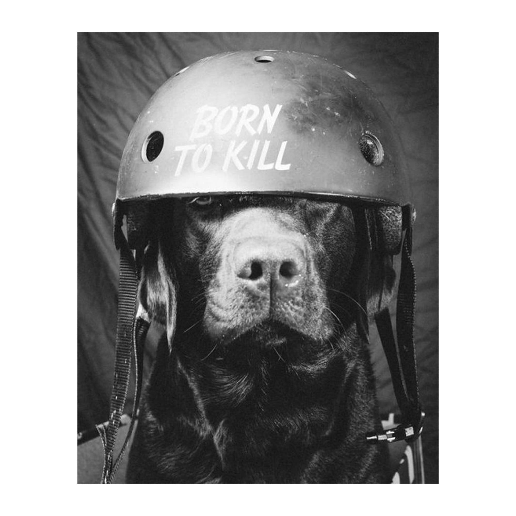 Funny Dog Soldier Wall Art - Black & White Retro Animal Photo Print with Helmet | Vintage Military Decor for Living Room, Bedroom, Office, Man Cave & Garage | Unframed 8x10 Inches | Unique Humorous Gift Idea for Dog Lovers