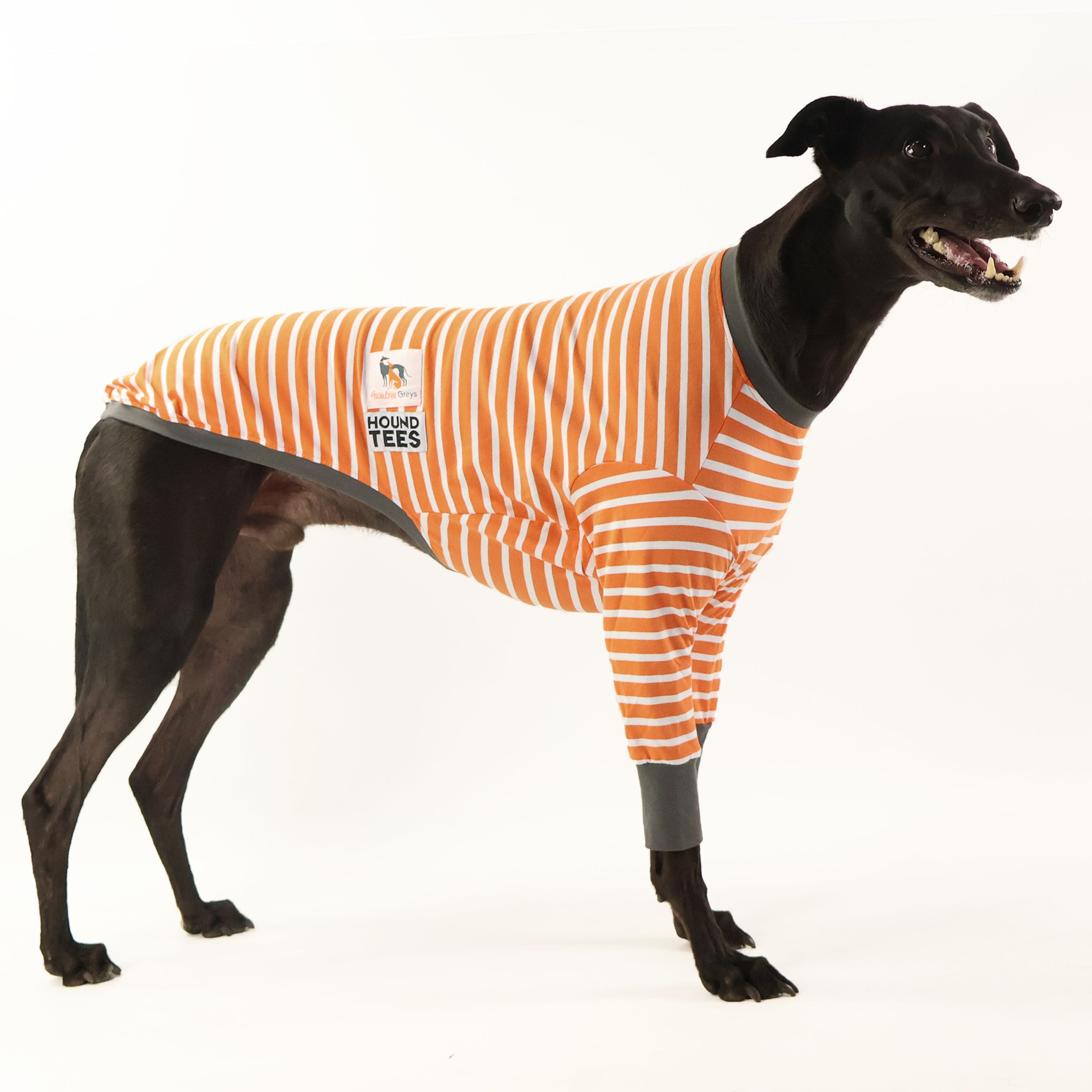 Gumtree Greys Greyhound Long Sleeve Hound Tee - Comfortable Dog Lover Shirt for Running, Walking & Casual Wear