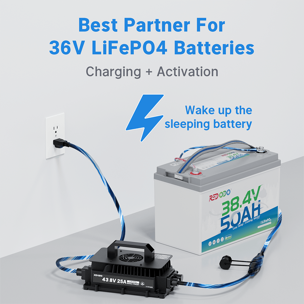 Redodo 43.8V 25A LiFePO4 Battery Charger for 36V(38.4V) Lithium Batteries - Fast Charging for Golf Carts, Solar Systems, and Marine Applications