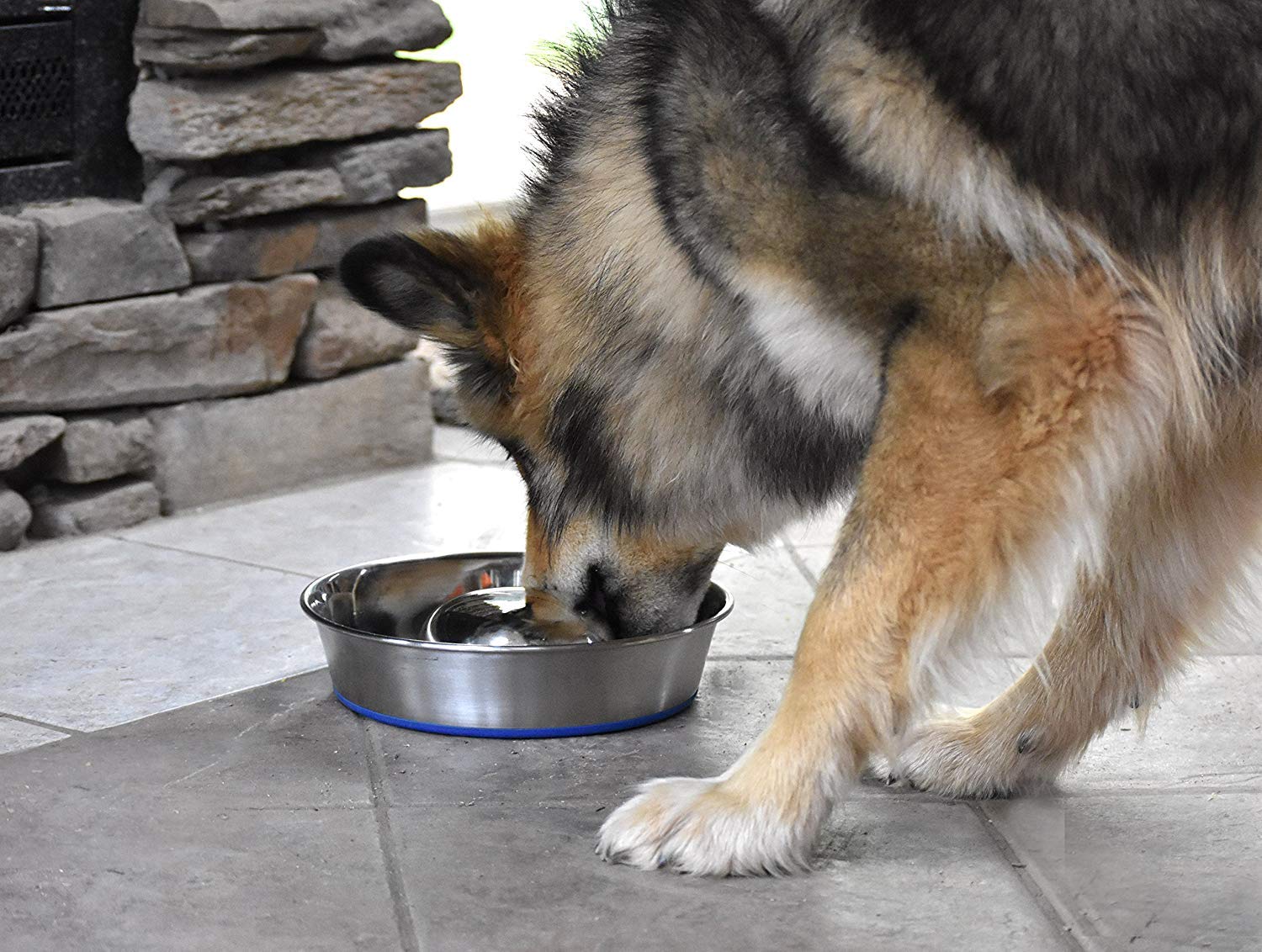 DuraPet Slow Feed Stainless Steel Dog Bowl for Small & Large Dogs - Anti-Gulping Pet Food Bowl for Fast Eaters - Silver (2040010301) - Perfect for Mealtime Portion Control & Digestive Health