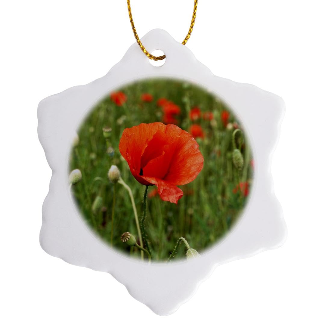 3D Rose ORN_78900_1 Meadow with Poppies Wall Art - Vibrant Floral Canvas Painting for Home & Office Decor - Perfect for Living Room, Bedroom, Kitchen, or Gift Idea