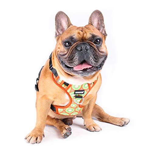 Kiwi Fruit Vest Harness