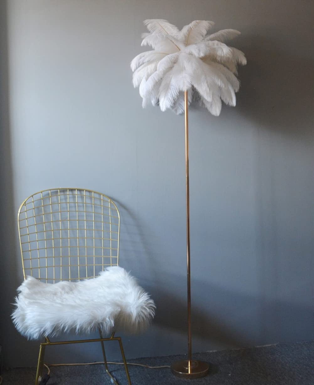 Natural White Ostrich Feather Floor Lamp - Modern Standing Light for Living Room & Bedroom Decor - Elegant Pink Girl's Room Lighting - Perfect for Cozy Reading Nook or Boho Chic Home Decor