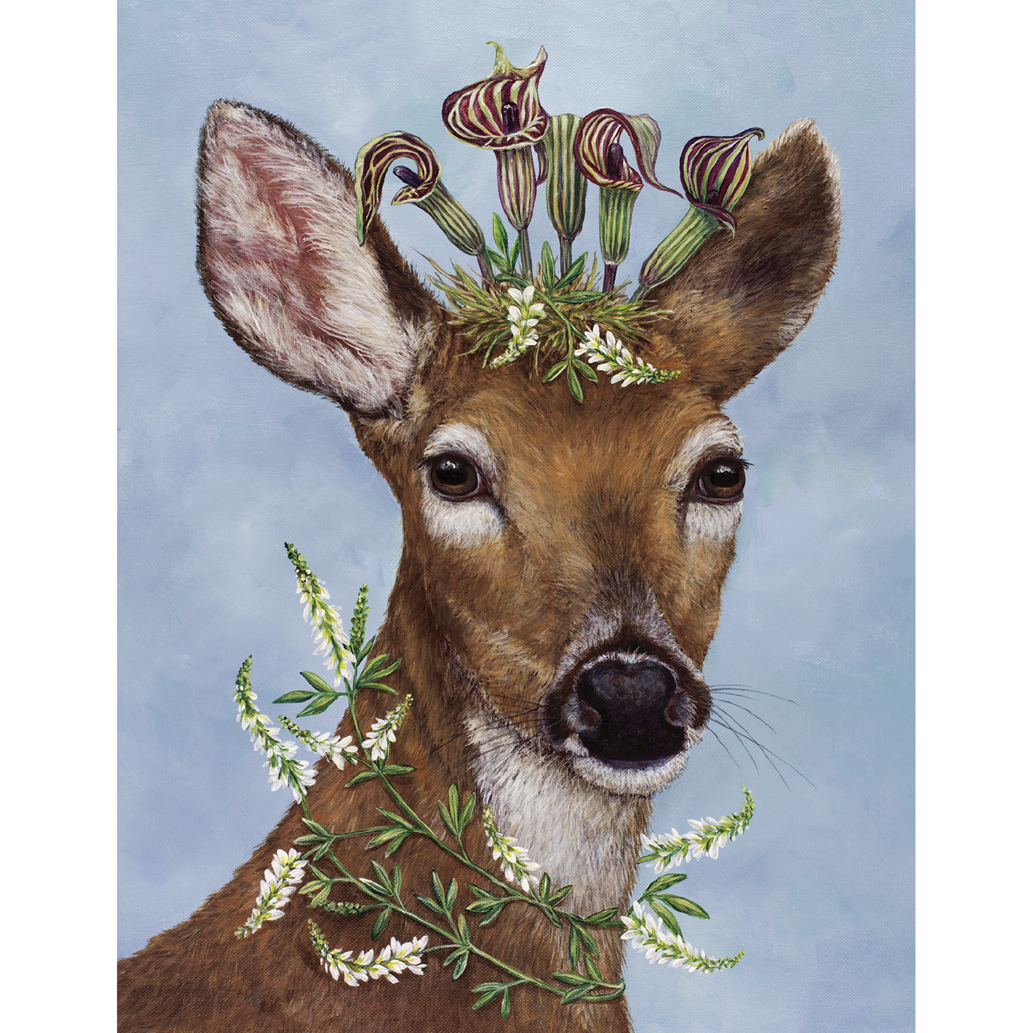 Hester & Cook Woodland Princess Greeting Card Set - Elegant Stationery for Birthdays, Thank You Notes & Special Occasions - Perfect for Wedding Invitations, Baby Showers & Holiday Cards