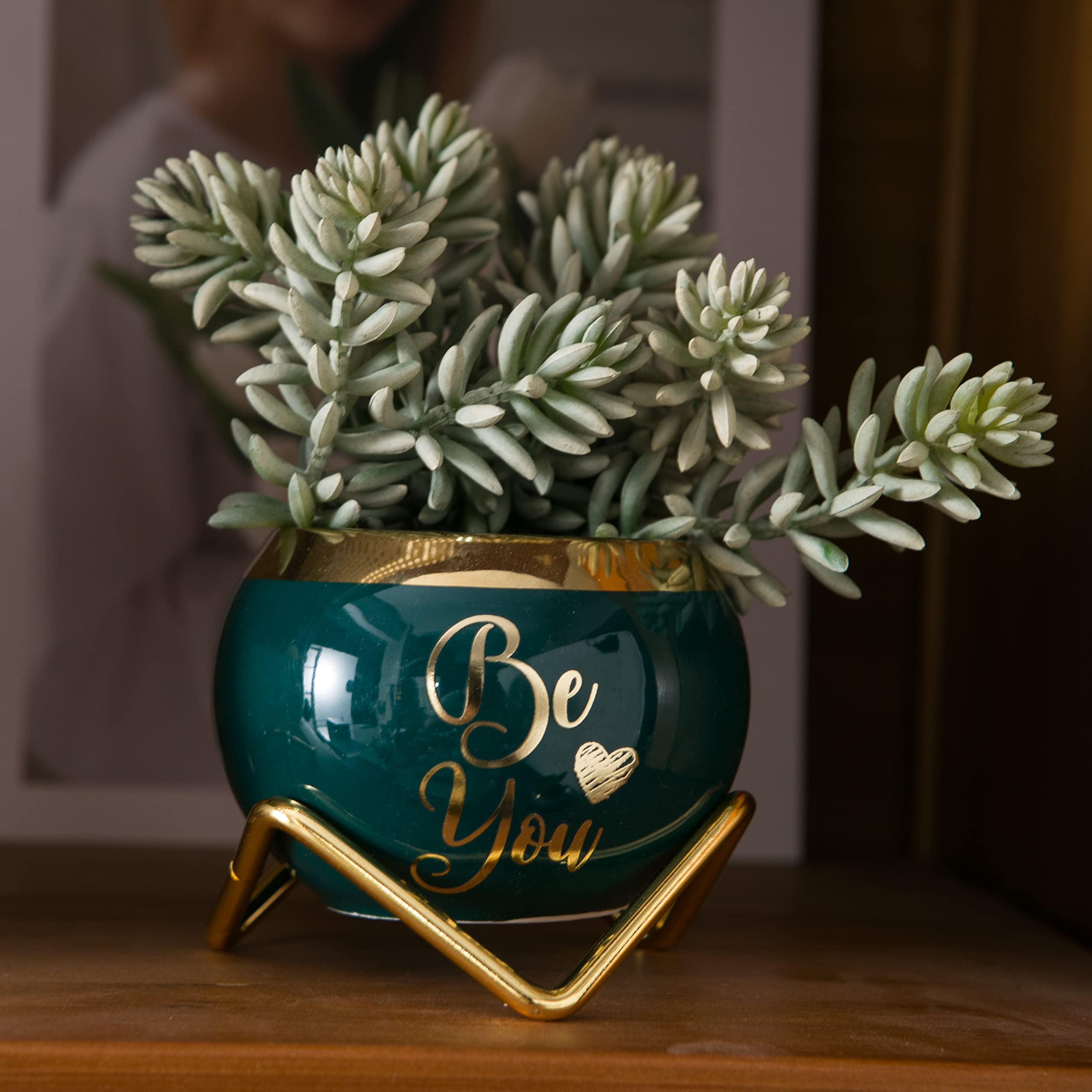 PeraBella Inspirational Gifts for Women - Spiritual Elephant Succulent Planter Set of 3 | Thoughtful Present for Female Friends, Valentine's Day, Wife | Perfect for Home Decor, Office Desk & Meditation Space