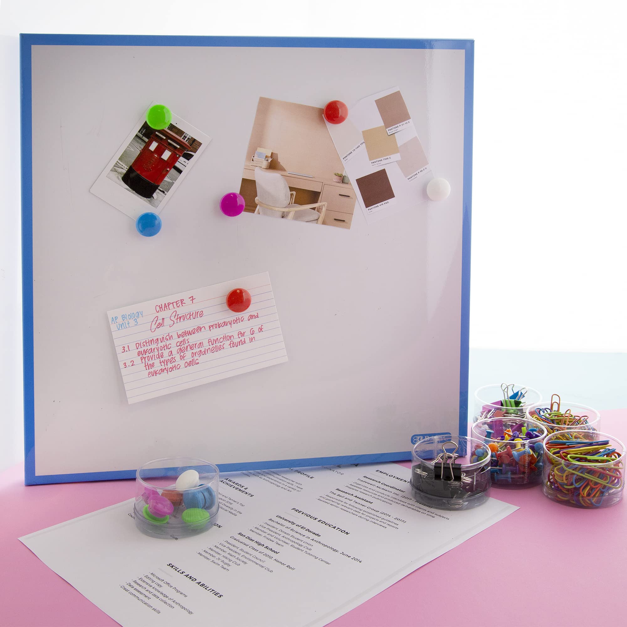 BAZIC 269-Piece Office & School Supplies Set - Push Pins, Binder Clips, Magnetic Buttons, Large & Small Paper Clips (6 Styles, 12-Pack) - Perfect for Classroom, Home Office & Organization