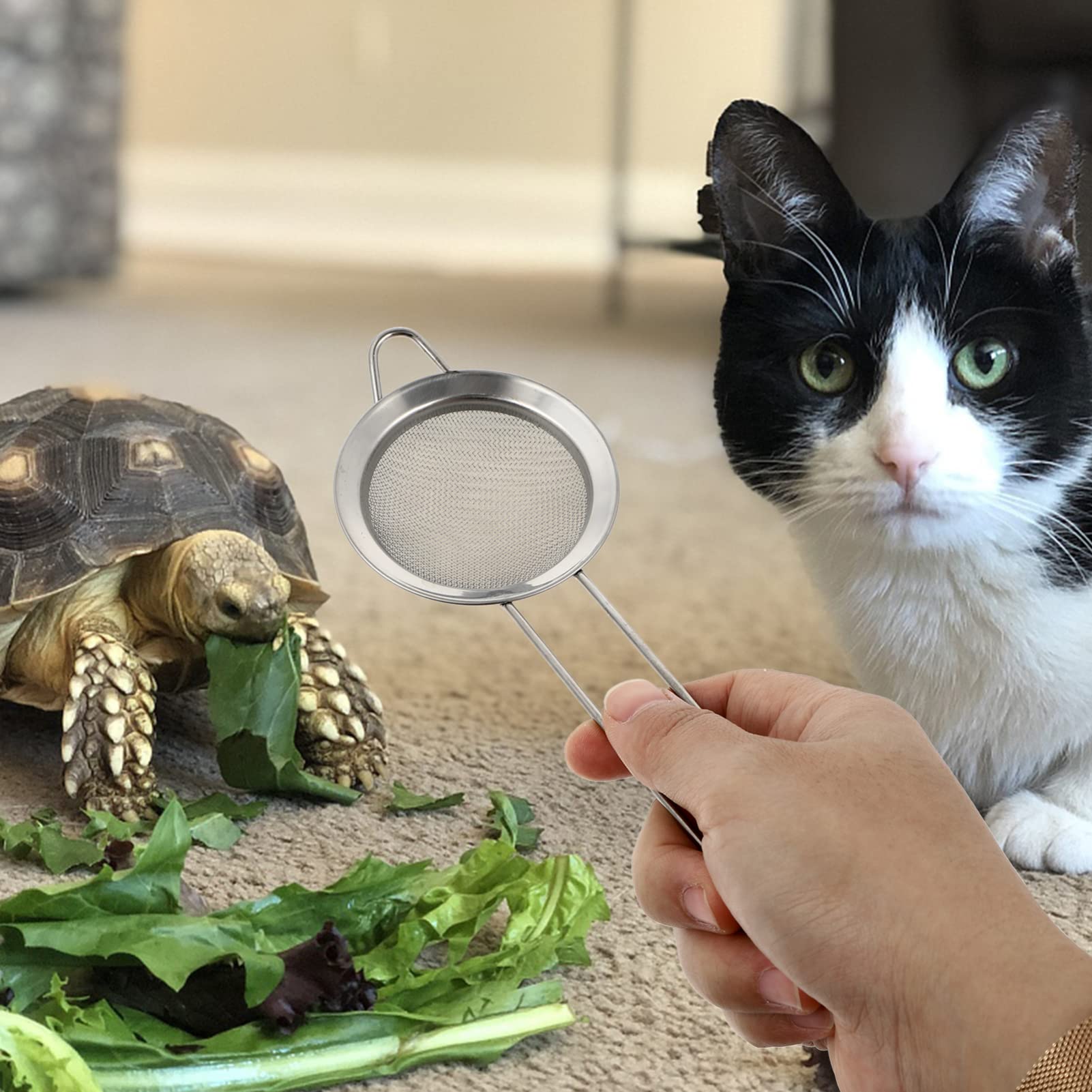 POPETPOP 2-Pack Stainless Steel Reptile Sand Shovel - Terrarium Cleaning Tool for Bearded Dragons, Reptisoil & Cat Litter - Durable Metal Scoop for Reptile & Small Animal Habitat Maintenance (Great for Cage Cleaning & Waste Removal)