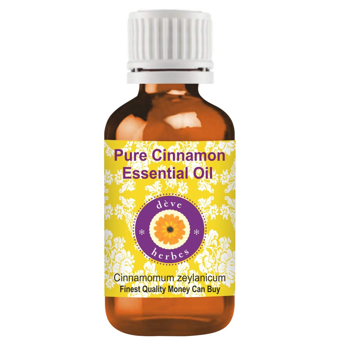 Pure Cinnamon Essential Oil (Cinnamomum Zeylanicum) - 100% Natural, Steam Distilled, 30ml - Aromatherapy, DIY Skincare & Home Fragrance
