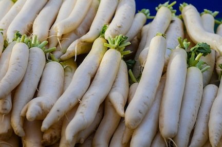 Japanese Minowase Radish Sprouting Microgreen Seeds - Heirloom Vegetable Seeds by Seed Kingdom (1/4 Lb Bulk Pack) - Perfect for Home Gardening, Indoor Hydroponics & Healthy Salad Toppings