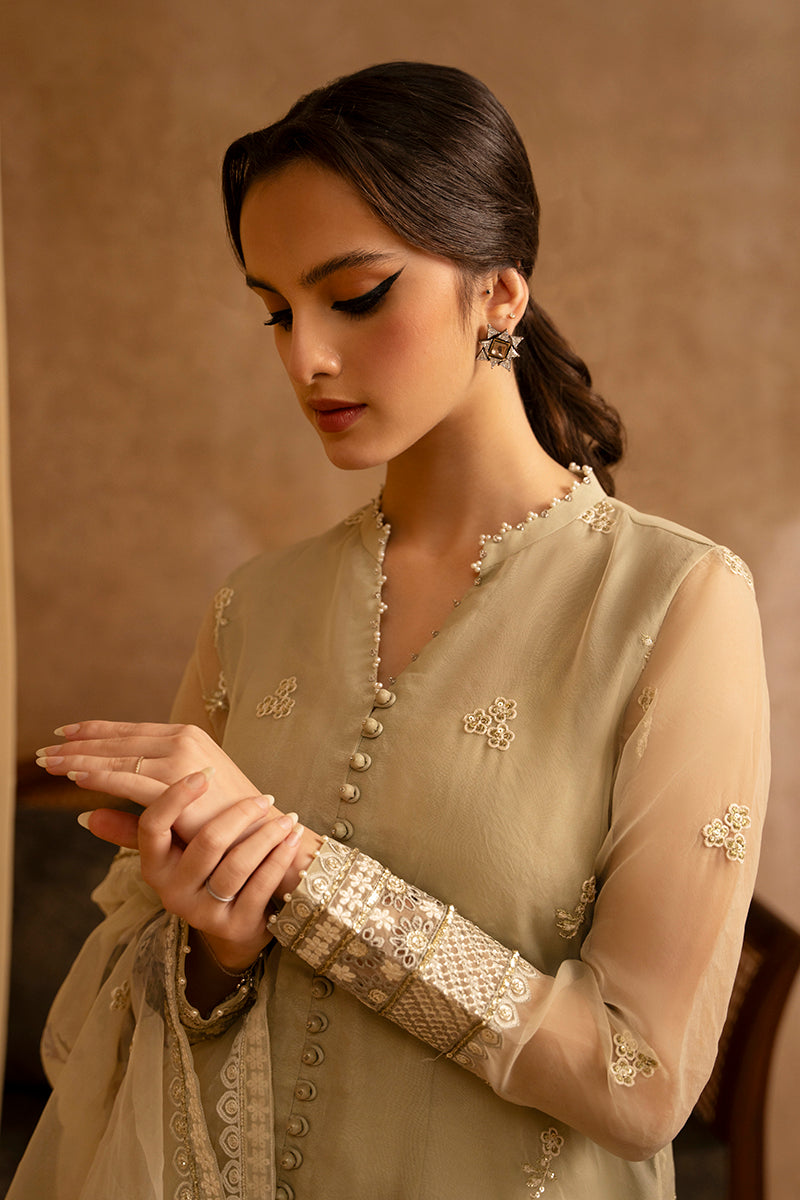 Island Fossil 2-Piece Organza Embroidered Suit for Women - Elegant Formal Outfit for Weddings, Parties & Special Occasions