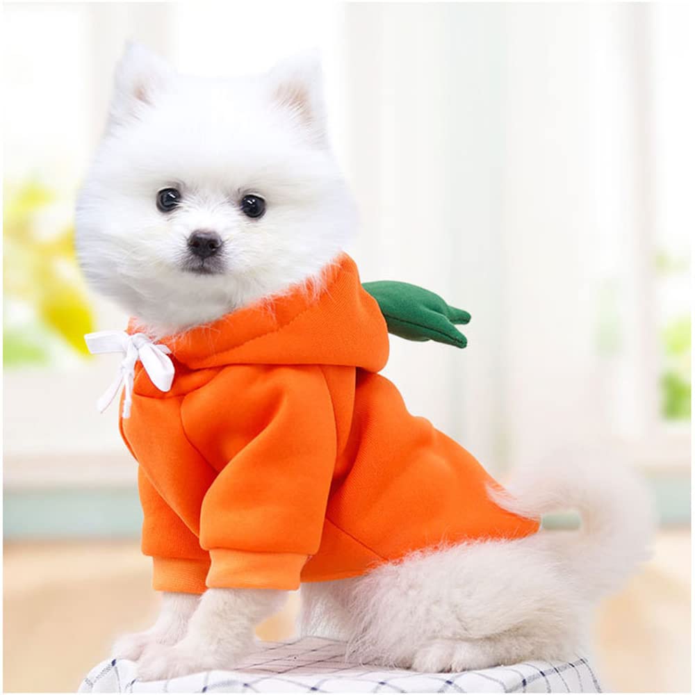Dog Christmas & Halloween Costumes - Small Dog Hoodies & Cat Outfits for Yorkie, Chihuahua, Pomeranian (X-Small, Orange-Carrot) - Perfect for Holiday Photos & Pet Parties