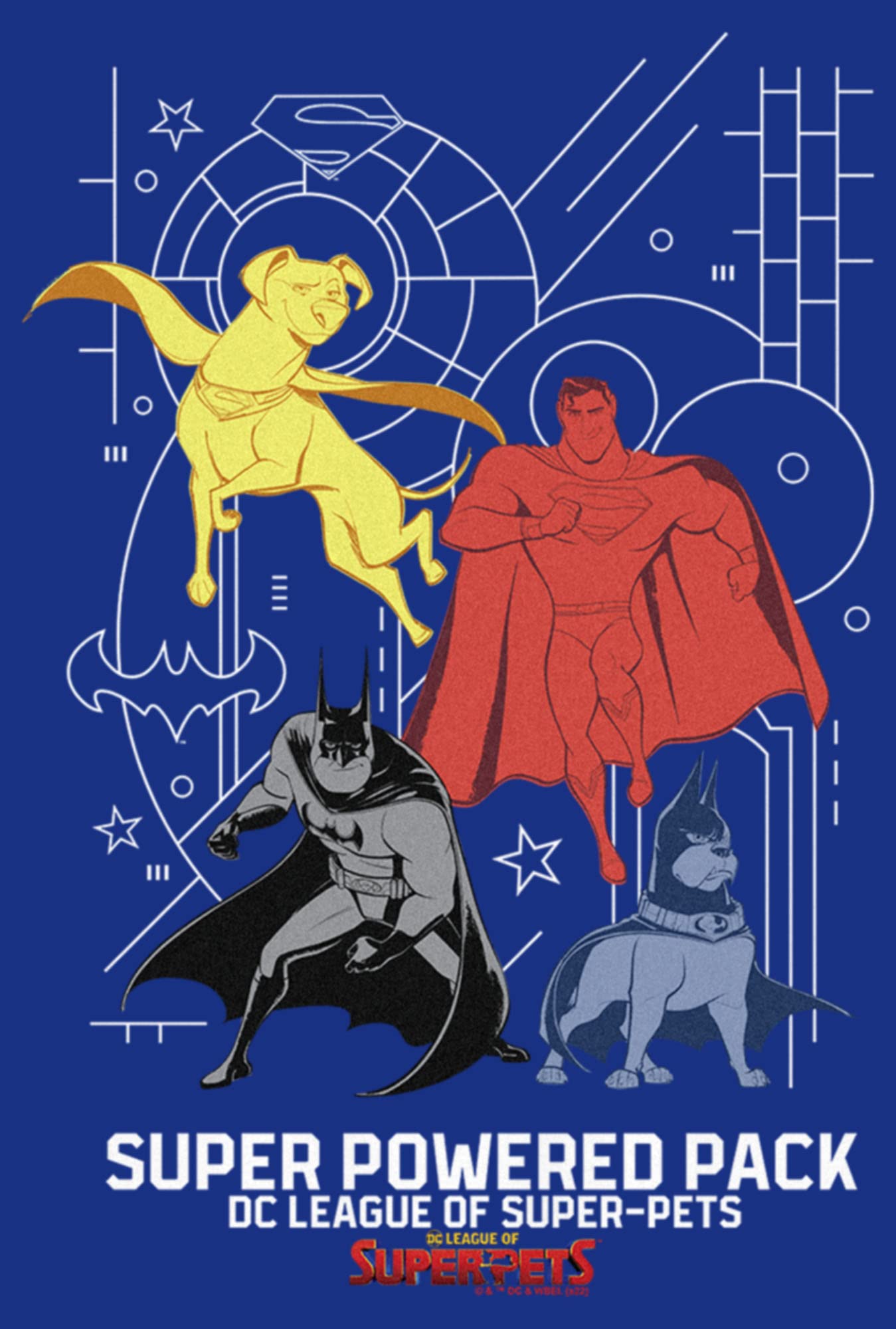 DC Super-Pets Chromatic Power Pack T-Shirt for Kids - Superhero Play & Style