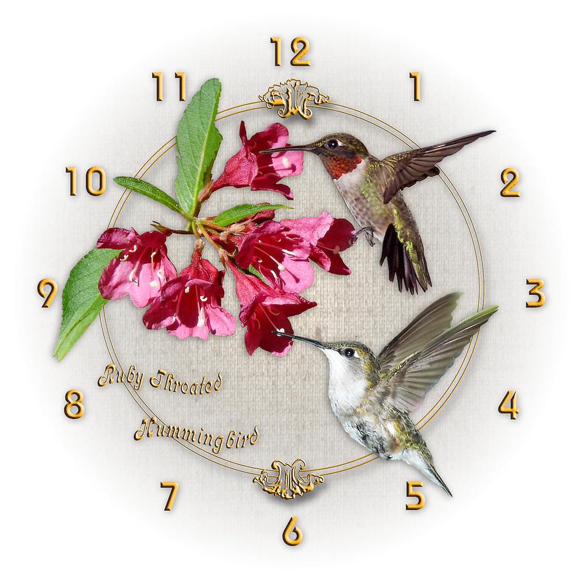 Hummingbird Pair 10-Inch Wall Clock - Decorative Home & Office Wall Clock for Living Room, Kitchen, Bedroom or Workspace - Perfect Gift for Nature Lovers & Bird Enthusiasts