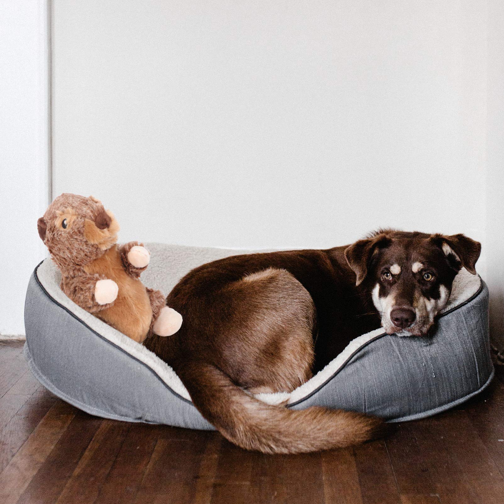 Balacoo Squeaky Plush Dog Toy - 1pc Soft Stuffed Chew Toy for Small Dogs & Puppies, Durable Bite-Resistant Pet Plushie for Teething & Playtime - Perfect for Indoor Play, Training & Cuddling