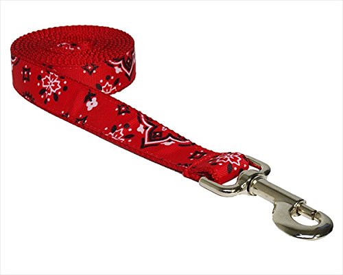 FlyFree 4 ft. Red Bandana Dog Leash for Small Dogs - Adjustable & Stylish Pet Walking Accessory for Daily Walks, Park Visits, and Outdoor Adventures