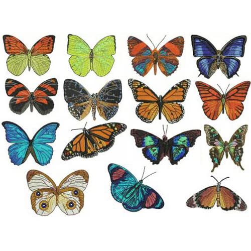 Butterflies2