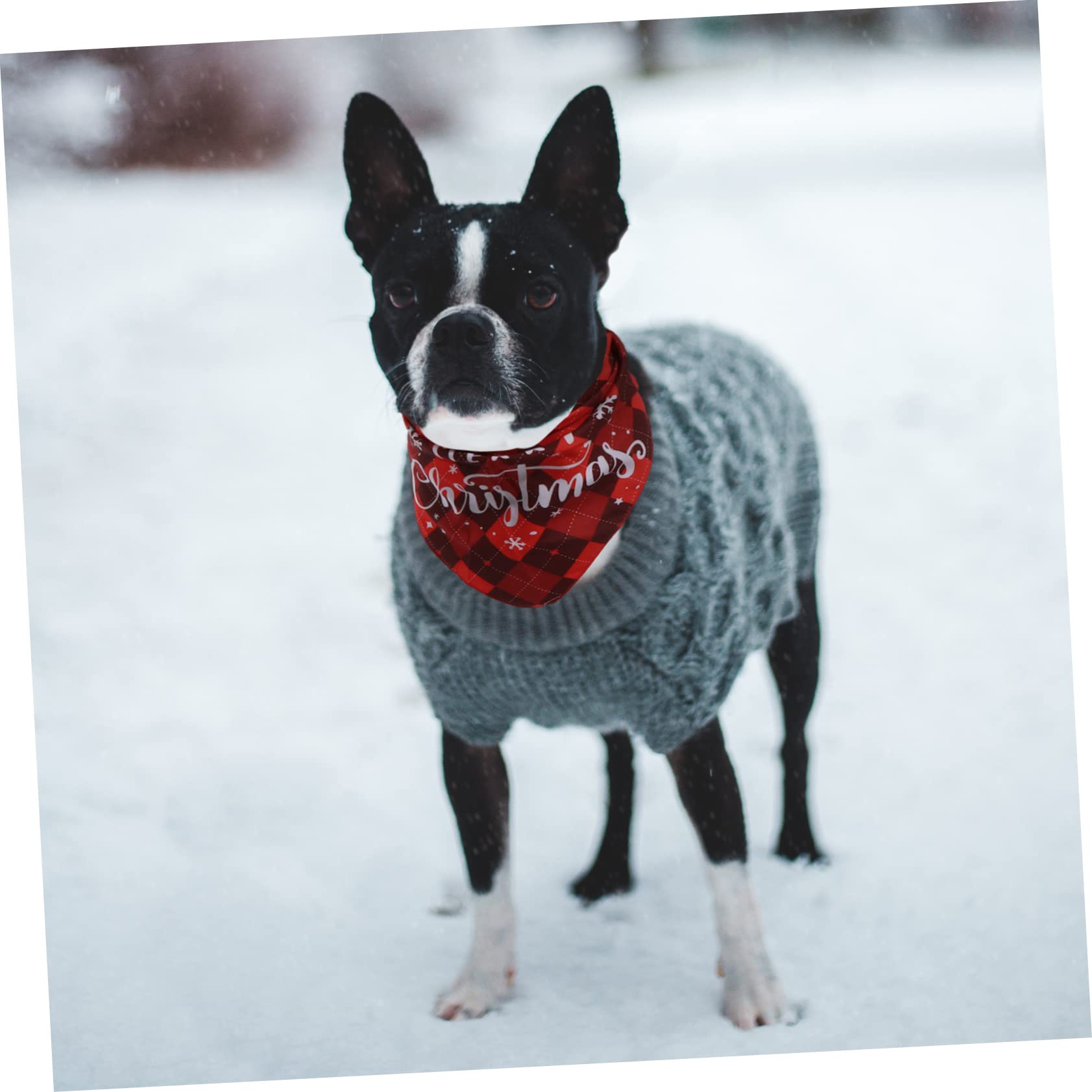 4 Pcs Pet Bandanas - Dog Scarf for Christmas & Daily Use